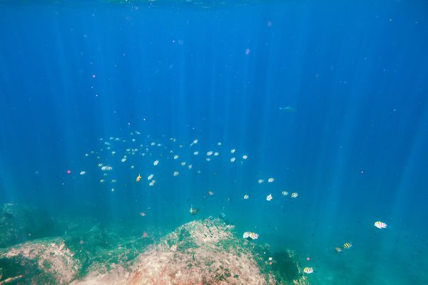 Край океана под водой
