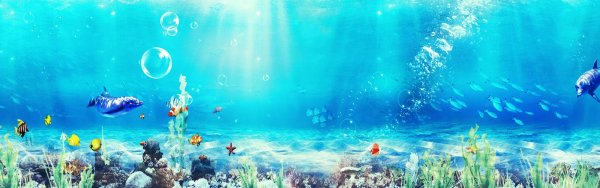Баннер подводный мир