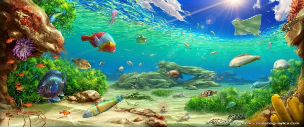 Морское дно