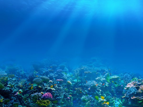 Море под водой