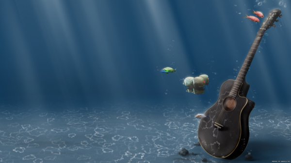 Гитарист на закате