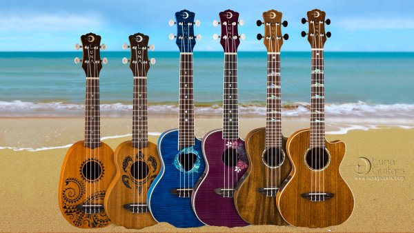 Парень с гитарой на закате