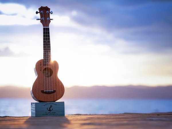 Человек с гитарой на закате