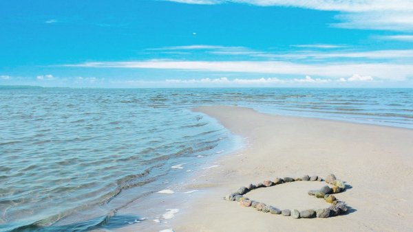 Море пальмы