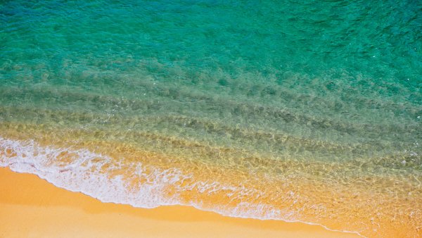 Белый песок море ракушки