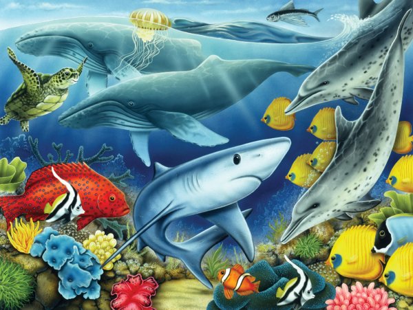 Морские обитатели для детского сада