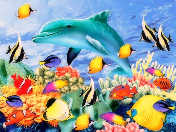 Морской мир для детей