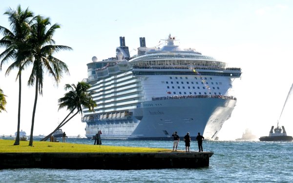 Оазис морей круизный лайнер