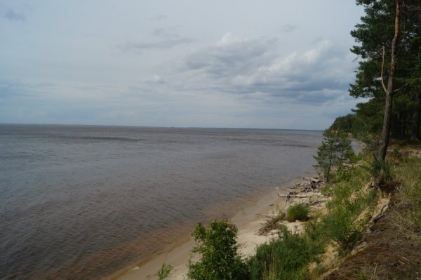 Горьковское водохранилище Селянцево