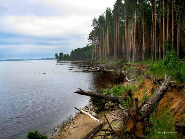Горьковское водохранилище Нижегородская область