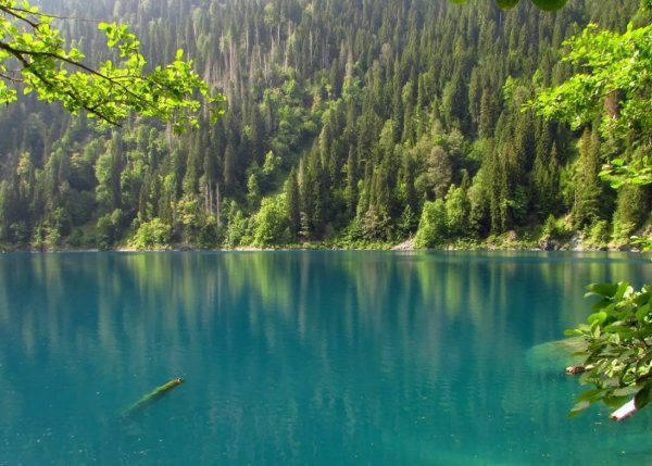 Абхазия озеро Рица туристы