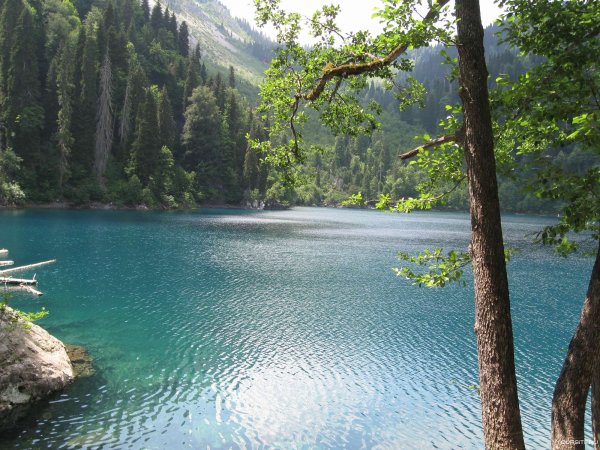 Горы Абхазии озеро Рица