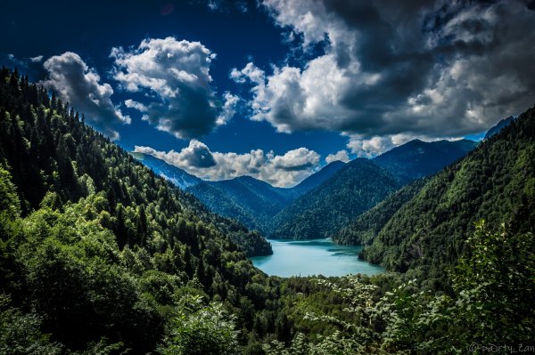 Рицинский заповедник Абхазия