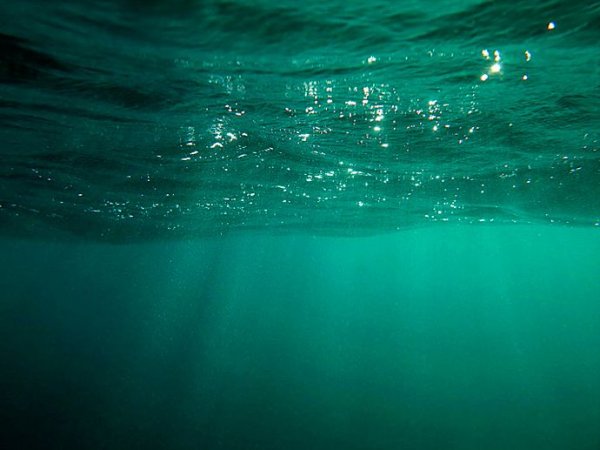 Море внутри