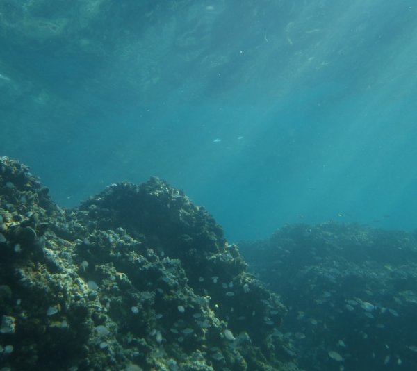 Море внутри