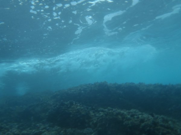 Море внутри