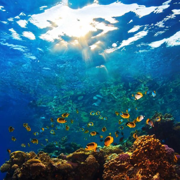 Море наполовину в воде