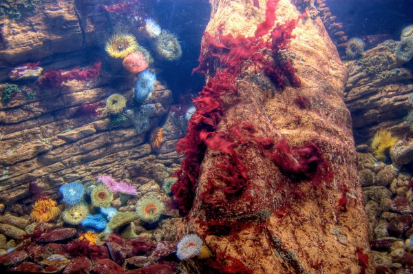 Верхние слои океана