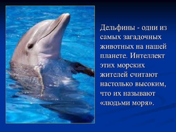 Море часть океана