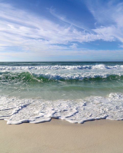 Проект черное море