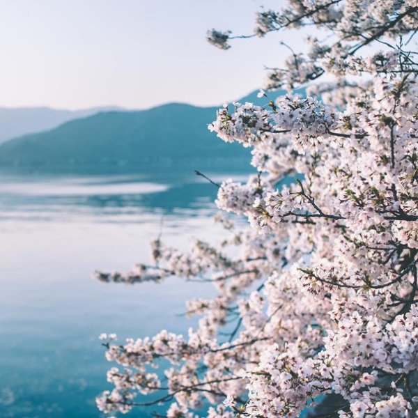 Море весной