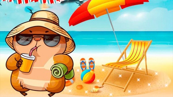 Лето море солнце