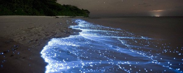 Пляж Ваадху Мальдивы
