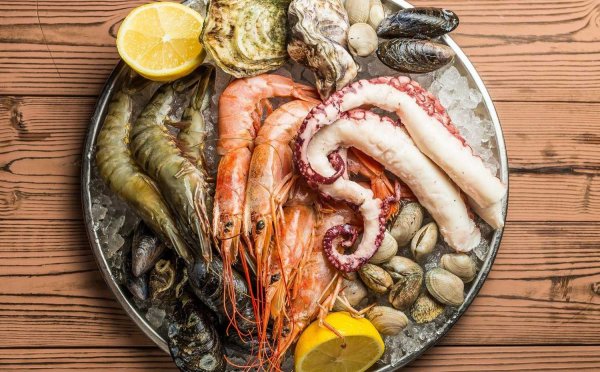 Морские гады