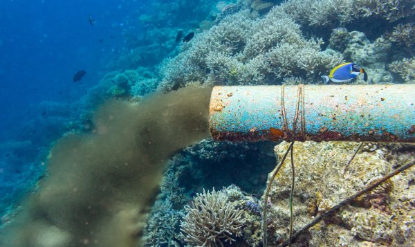 Загрязнение Балтийского моря
