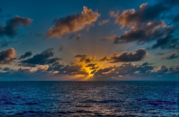 Саргассово море моря