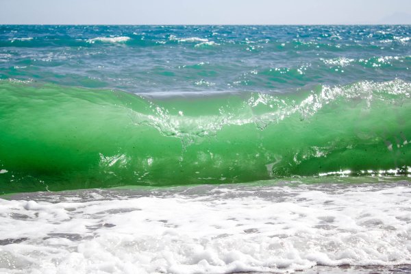 Море волна зеленая
