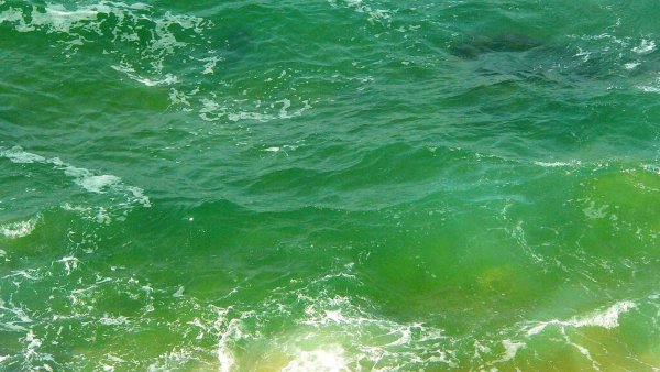 Море, волны