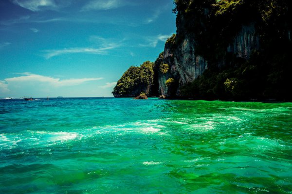 Зеленое море