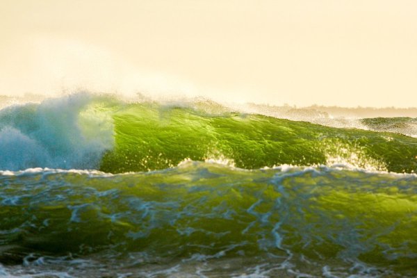 Салатовое море