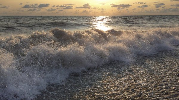 Белгородское море фото