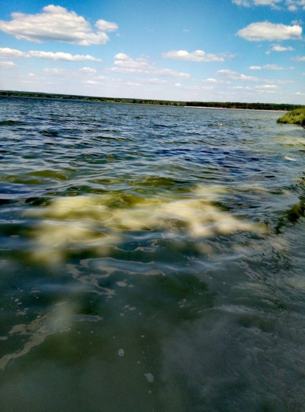 Водохранилище Белгород Маслова Пристань