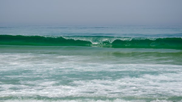 Зеленый океан