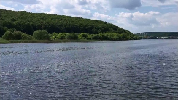 Маслова Пристань Белгородская область