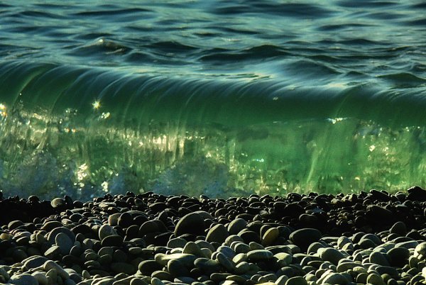 Зеленое море