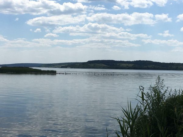 Меловые горы Белгород