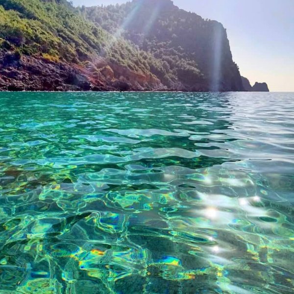 Море зеленого цвета