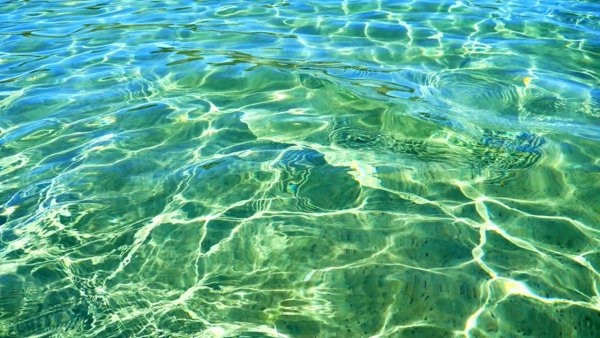 Зеленая прозрачная вода