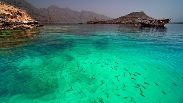 Оманский залив индийский океан