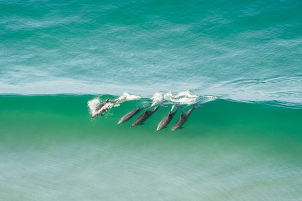 Океан спокойствие