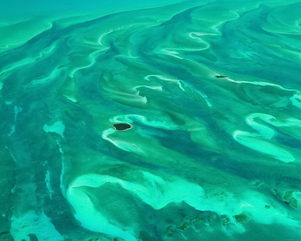 Зеленый океан