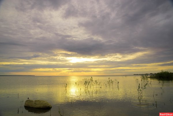 Рыбинское водохранилище