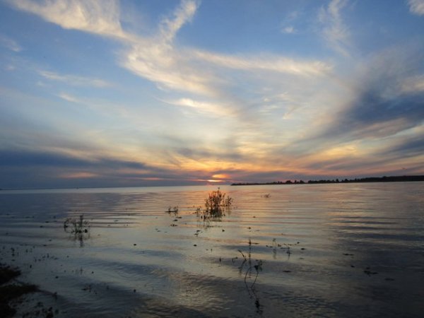 Остров Шумаровский Рыбинское водохранилище