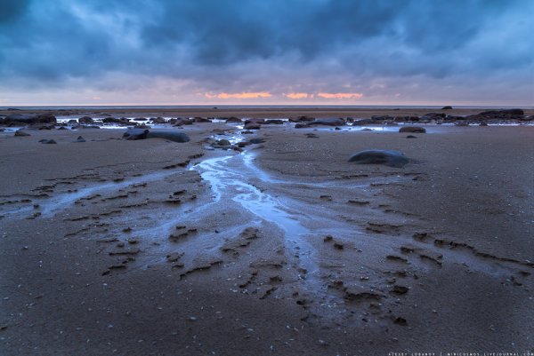 Остров Шумаровский Рыбинское водохранилище