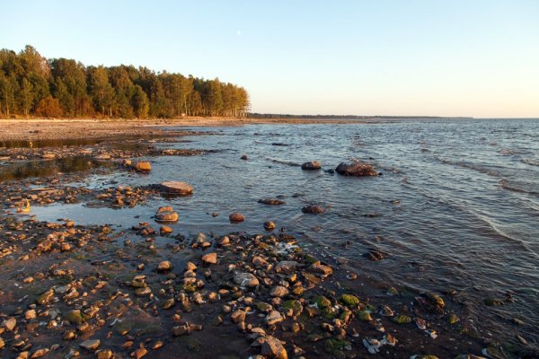 Молога 2022 Рыбинское водохранилище