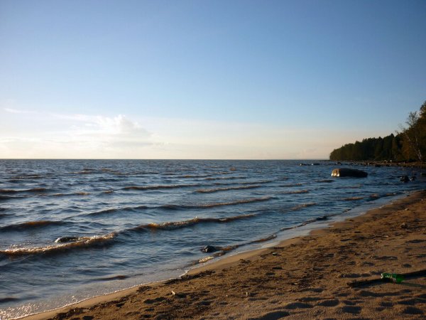 Рыбинское водохранилище Череповец